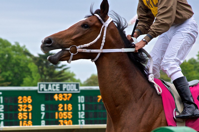 JRA 競馬