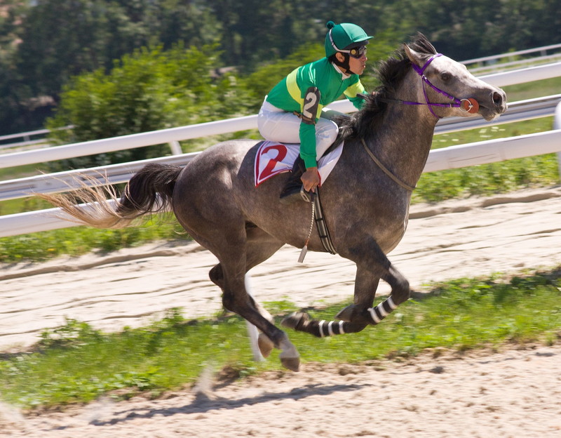 ブックメーカー 競馬